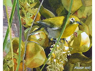 White Eye by Marilyn Wear