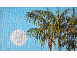 Kona Moon by Catherine Cranford