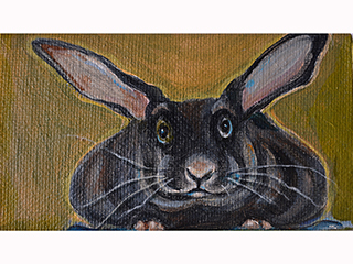 Gus by Catherine Cranford