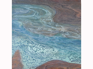 Evolution I by Laurie McKeon