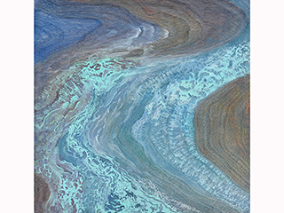 Evolution II by Laurie McKeon
