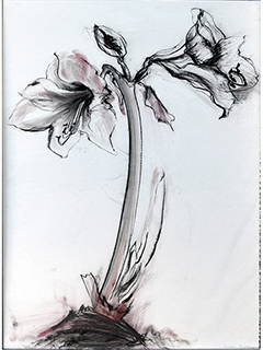 Resurrection II by Liedeke Bulder