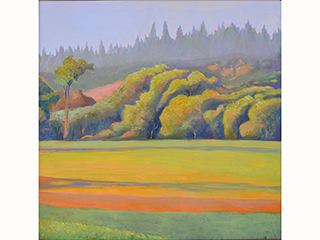 Napa - Morning Fog Lifting by Warren Stenberg