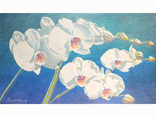 Moth Orchid by Russell Lowrey