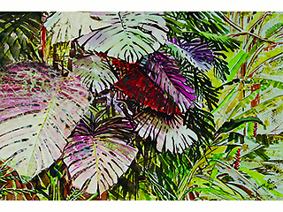 Monstera II by Jane Ra