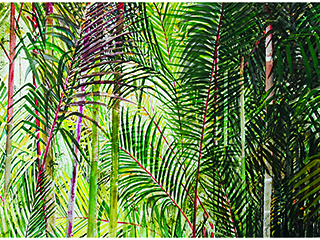 Hawaii Forest by Jane Ra