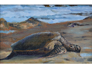 North Shore Honu by Burton  Uhr