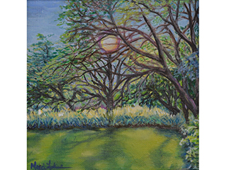 Strands and Sunlight by Marcia Franklin