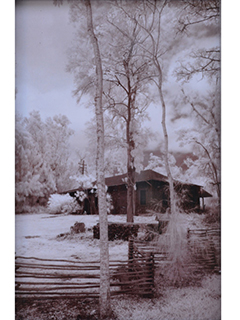 Up Country Cabin by Joan  Cooke