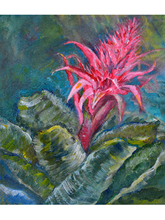 Bromelaid by Nanci Hersh