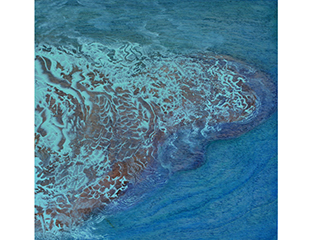 Evolution IV by Laurie McKeon