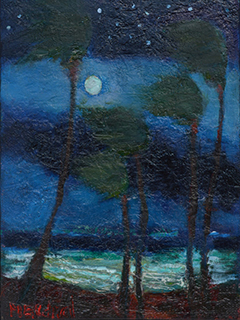 Windy Night by Anthony  Mendivil
