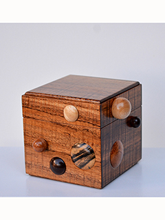 Bubblebox #2 by Doug Gordon