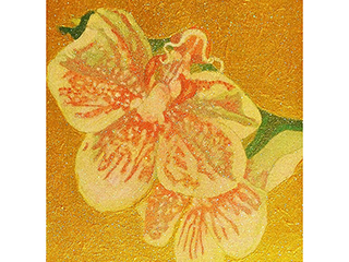 Orchid 1 by Russell Lowrey