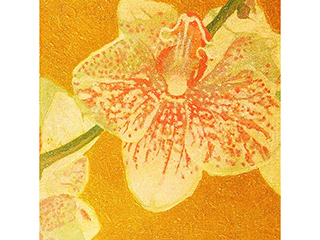 Orchid 3 by Russell Lowrey