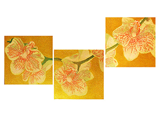 Orchid 3 by Russell Lowrey (View 2)