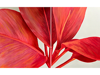 Floral Sketches - Red Ti by Sandra Blazel