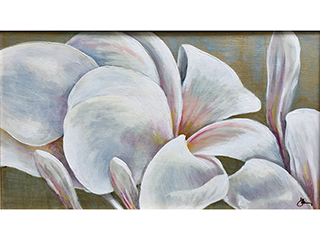 Floral Sketches - Plumeria by Sandra Blazel