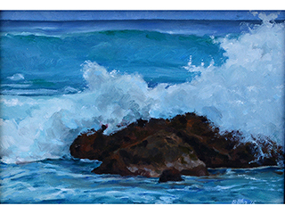 Shark's Cove #1 by Burton  Uhr