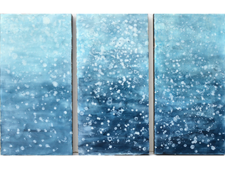 Ascending the Sea by Cindy  Bloomfield Black