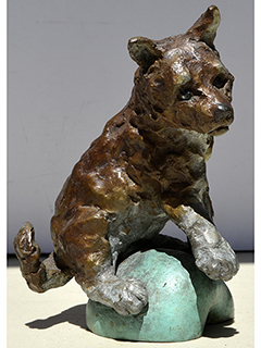 Teacher's Pet by Jackie Mild Lau