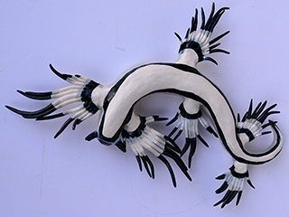 Blue Angel#2 by Kimberly De Souza