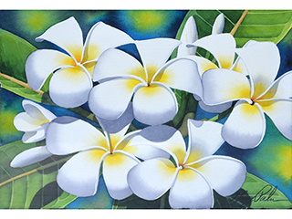 Plumerias by Garry Palm