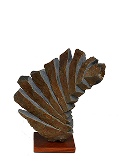 Suiseki (fern) by Kamran  Samimi