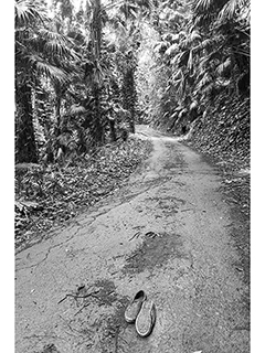 A Road Less Traveled by Debra Casey
