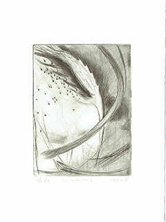 Sex in the Wind by Gina Bacon Kerr