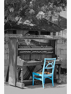 Playing the Blues by Debra Casey