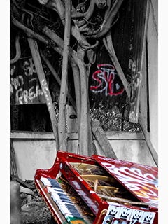Play it Again Syd by Debra Casey