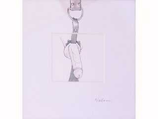 Harness by Noelani Block