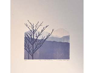 Fuji in the Distance by Jonathan Yukio Clark