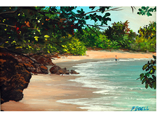 Kawela Bay by Patrick Doell