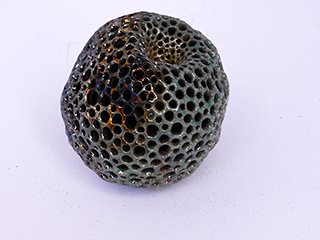 Basic Life Form S1 by Christopher Edwards