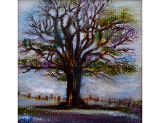 Misty Morning by Marcia Franklin