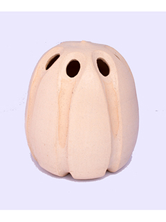 White Pod by Faye Maeshiro