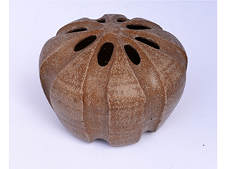 Brown Pod by Faye Maeshiro