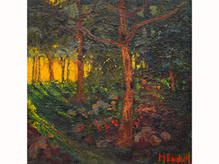 Light Through the Trees by Anthony  Mendivil