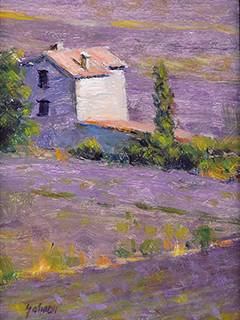 Lavender Fields by Fred  Salmon