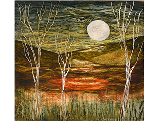 Supermoon II by Anna Marie Sheehan