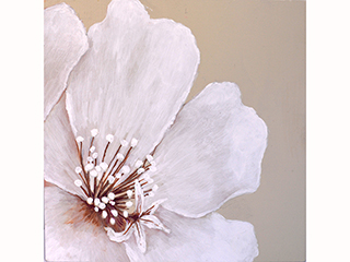 Floral Sketches - Flowers On My Walk #2 by Sandra Blazel