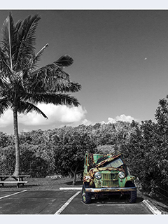 Molokai Willys- Metal panel by Debra Casey