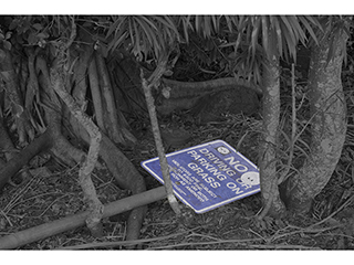 No Parking by Debra Casey