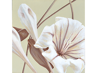 Floral Sketches- Cup of Gold by Sandra Blazel