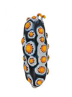 Nubby by Kimberly De Souza