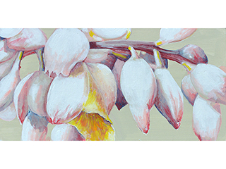Shell Ginger by Sandra Blazel