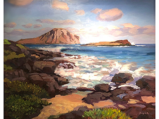 Makapu'u on Fire by Lynne Boyer
