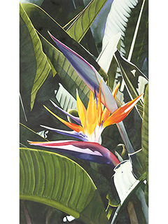 Bird of Paradise II by Kathleen Alexander